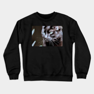 Black cat Crewneck Sweatshirt